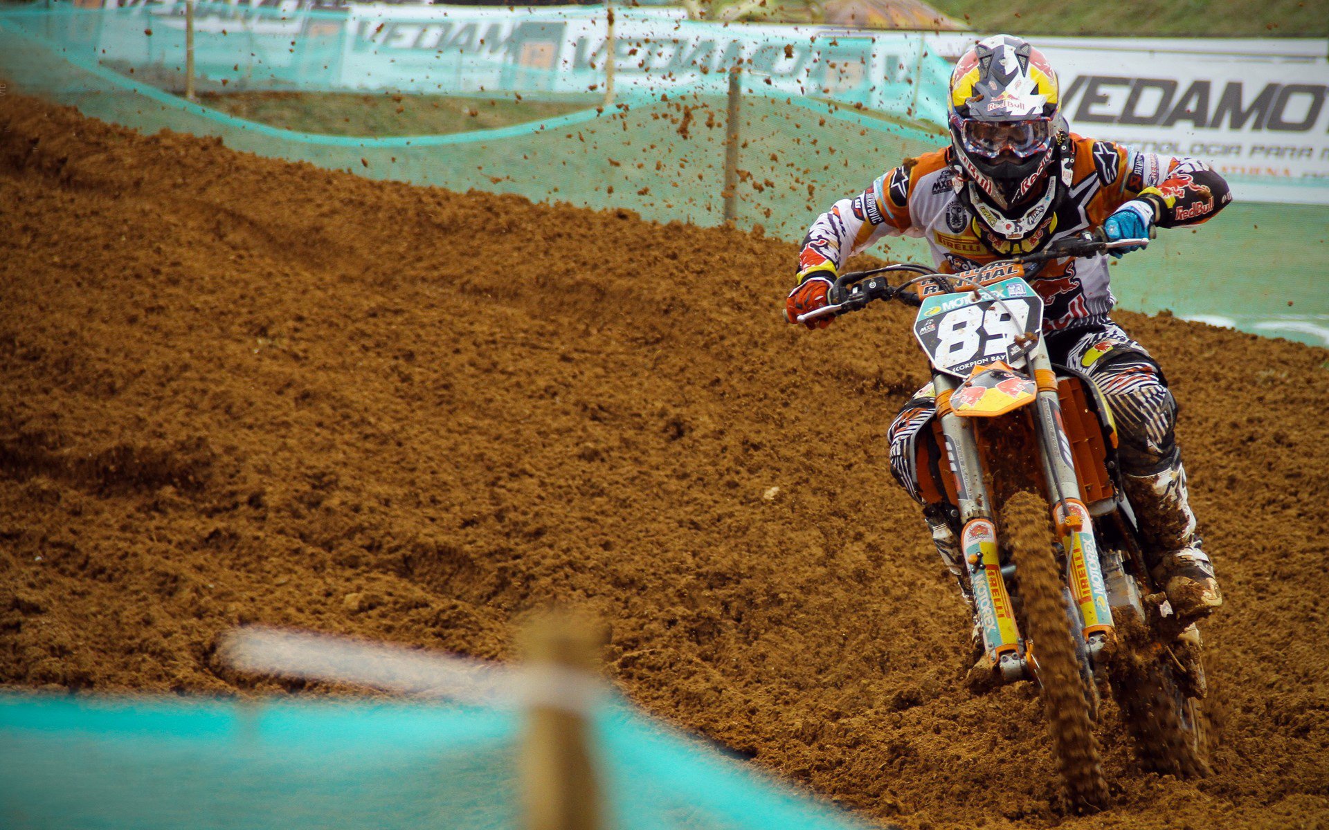 当锡安踩碎字母哥的权杖，新王在总决赛废墟上诞生